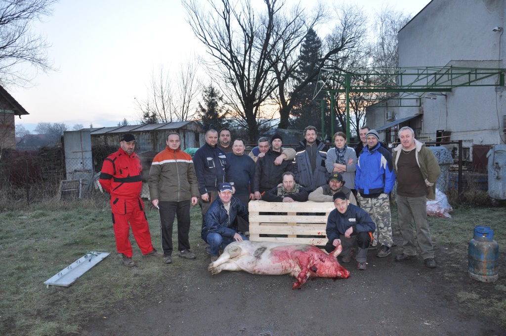 Fotogaléria Zabíjačkové slávnosti 2014 (66) Zabíjačkové slávnosti 2014